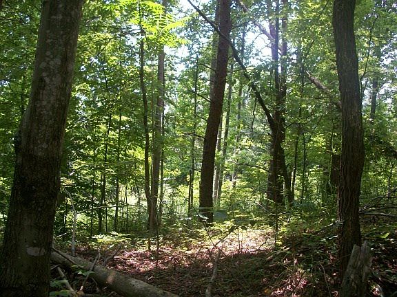 3rd image of Abram Penn Hwy