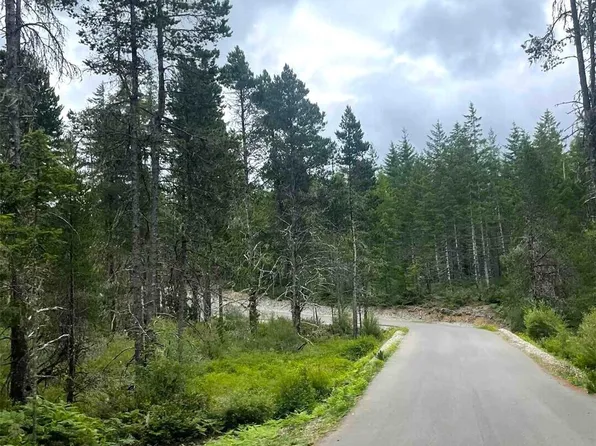 701 W Clear Lake Drive, Shelton, WA 98584