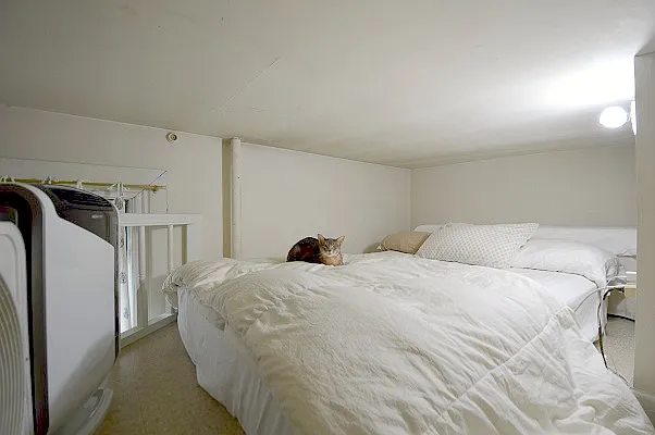 Rented by Bold New York | media 33