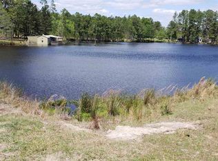 256 S Highway 221, Adrian, GA 31002