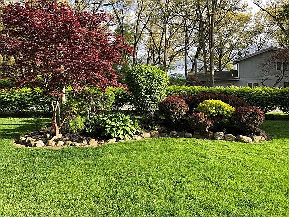 View from the Living Room