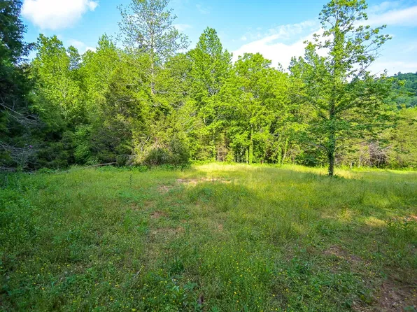 94 Short Creek Rd, Dellrose, TN 38453