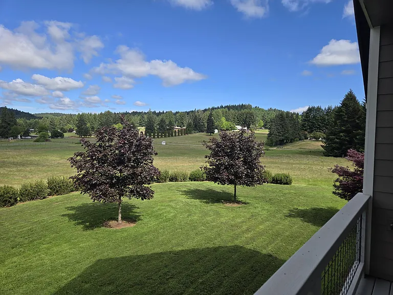 25154 Paradise Dr — Photo 26