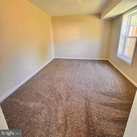 2037 Cotton Tail Dr — Photo 13