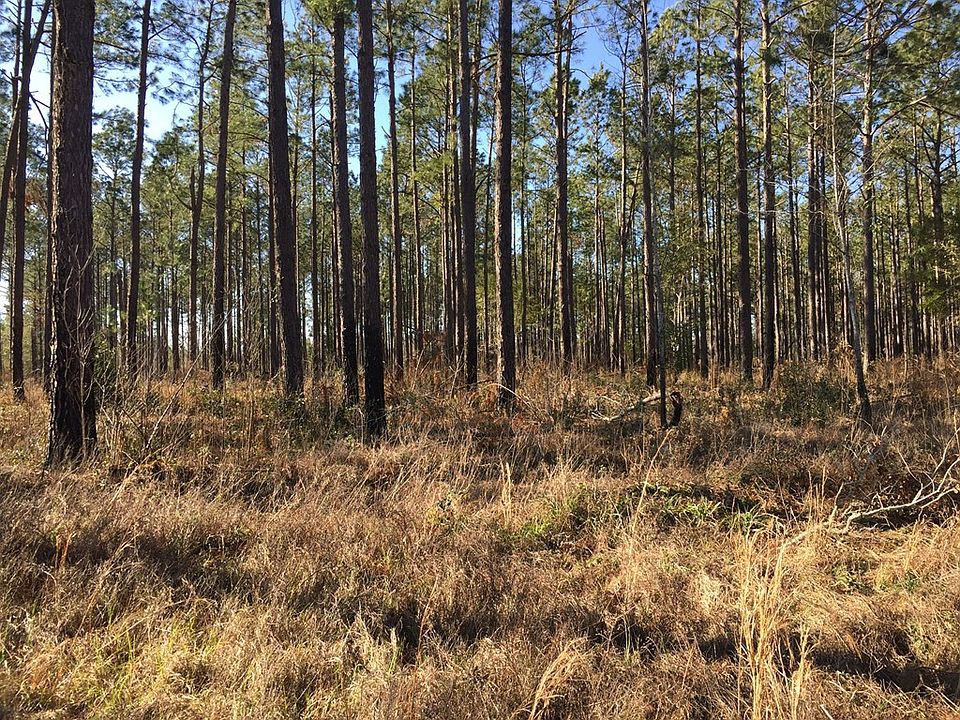 2nd image of Belcher Ln