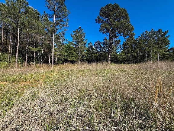 4th image of 1329 County Road 2112