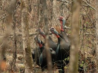 0 Highway 14, Louisville, MS 39339