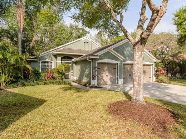 5619 Essex Ct, Palm Harbor, FL 34685