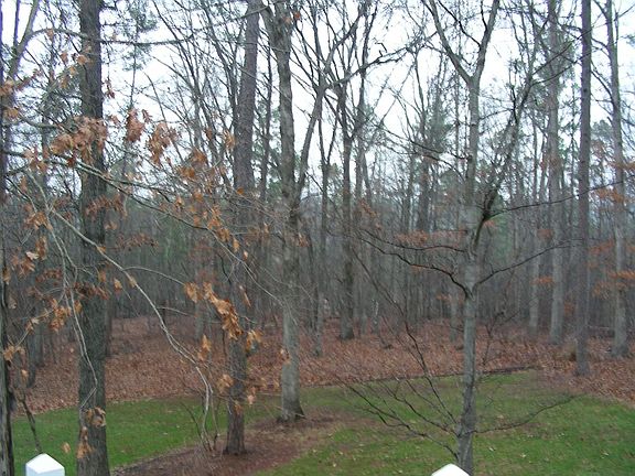 Back to Lake and State Park