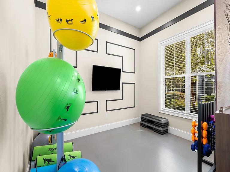 Zumba area