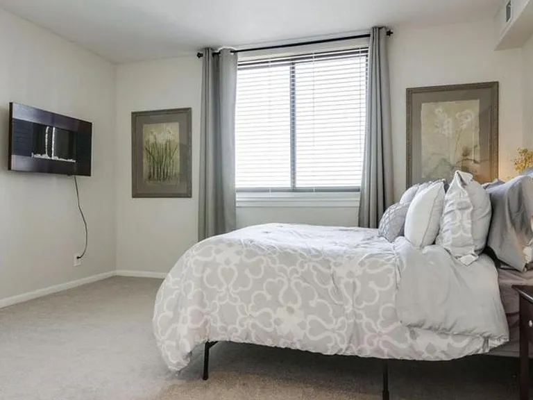 5505 Seminary Rd #914N — Photo 14