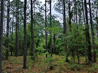 Tbd Se 108th Ter, Morriston, FL 32668