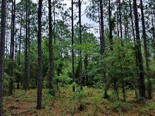 Tbd Se 108th Ter, Morriston, FL 32668