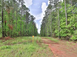 0 N Porter Rd, Shiloh, GA 31826