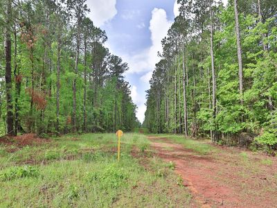 0 N Porter Rd, Shiloh, GA, 31826