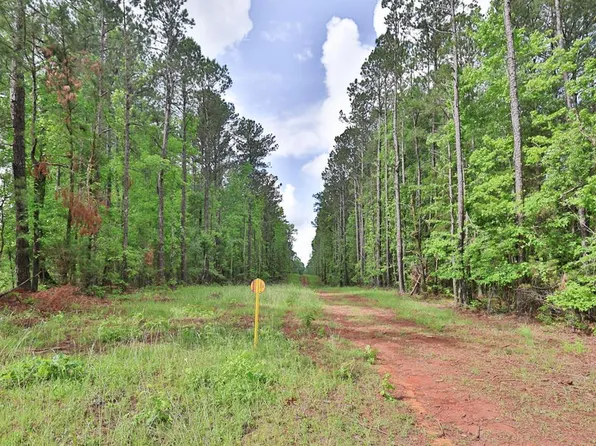 0 N Porter Rd, Shiloh, GA 31826