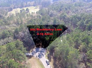 224 Blackberry Ln PARCEL 89A013, Thomasville, GA 31792