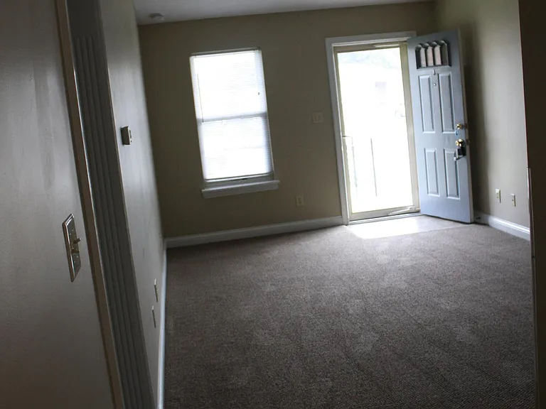 Living room/vaulted ceiling
