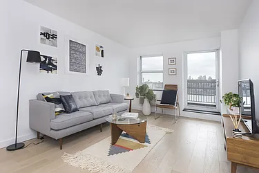 Rented by Bold New York