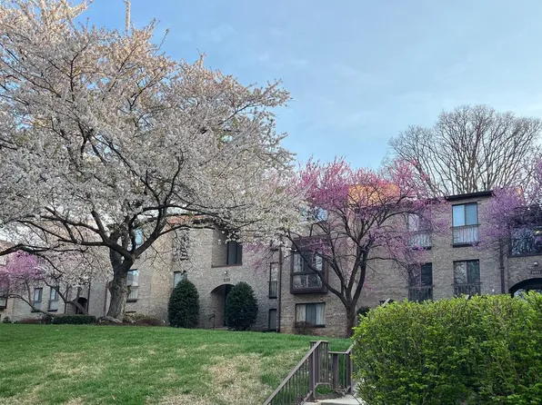 2032 Royal Fern Ct #13/21A, Reston, VA 20191