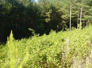 Autumn Ridge #LT 4, Blairsville, GA 30512