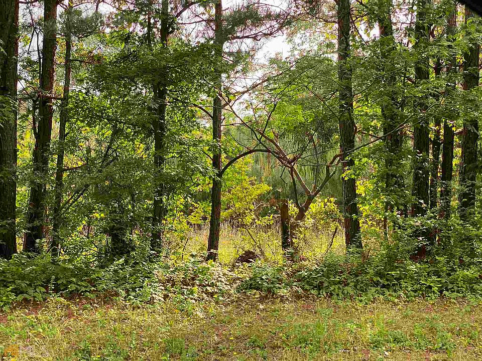 2nd image of 739 Cheatham Rd