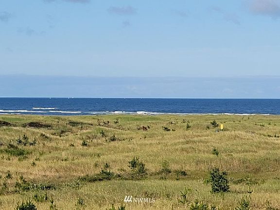 The dunes and beach>