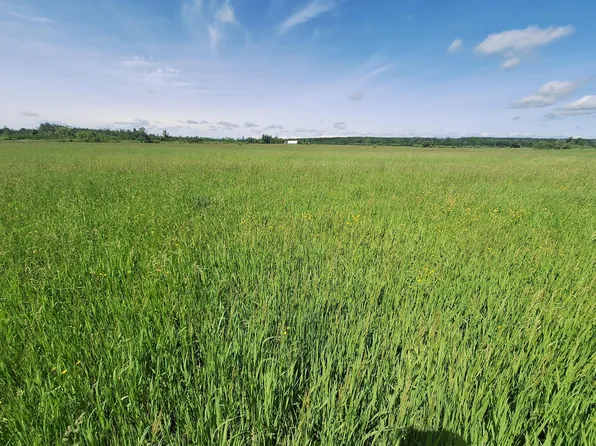 1035 N Poor Farm Rd, Harrisville, MI 48740
