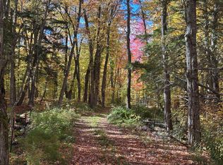 Off E Shore Rd PARCEL C, Marenisco, MI 49947