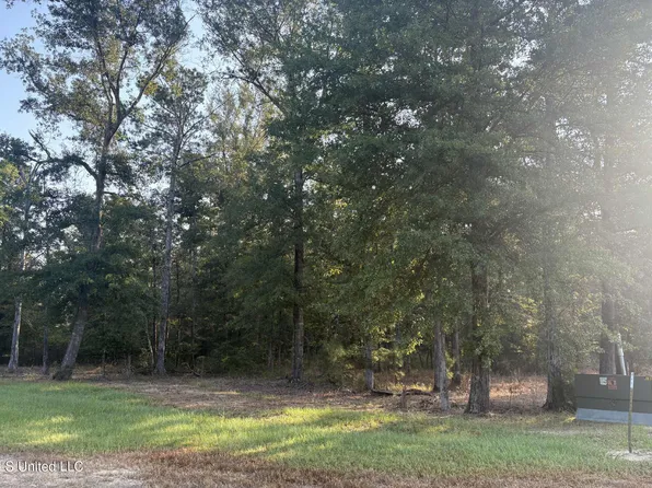 0 Shire Ave Lot 12, Forest, MS 39074
