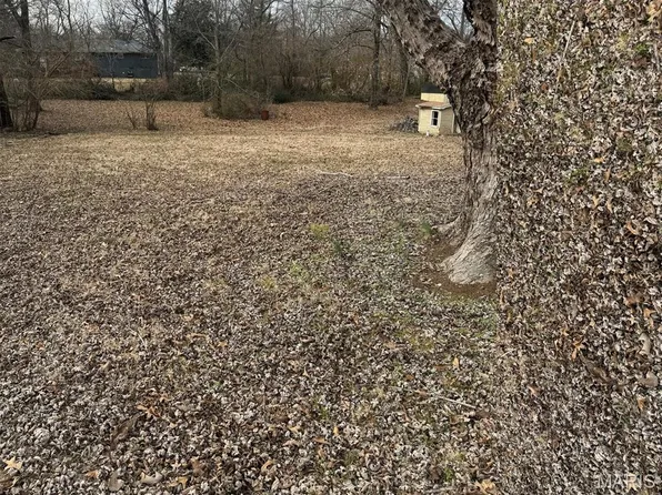 2523 Shady Ln, Poplar Bluff, MO 63901