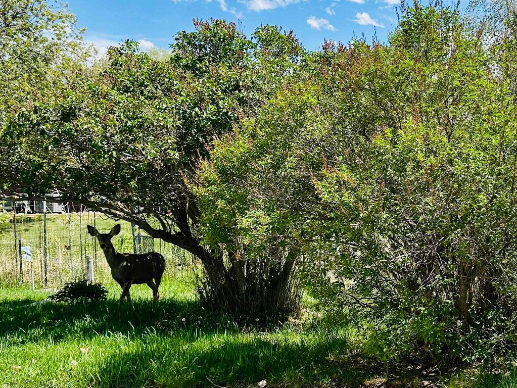 1105 McDougall Dr, Lander, WY - View 4
