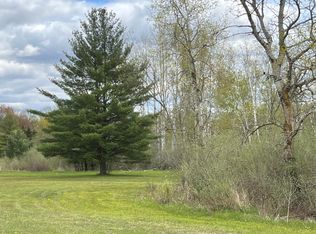 11148 Satterlee Rd, Lakeview, MI 48850