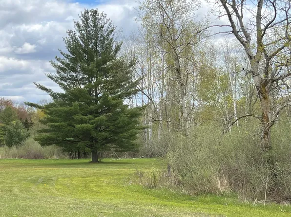 11148 Satterlee Rd, Lakeview, MI 48850