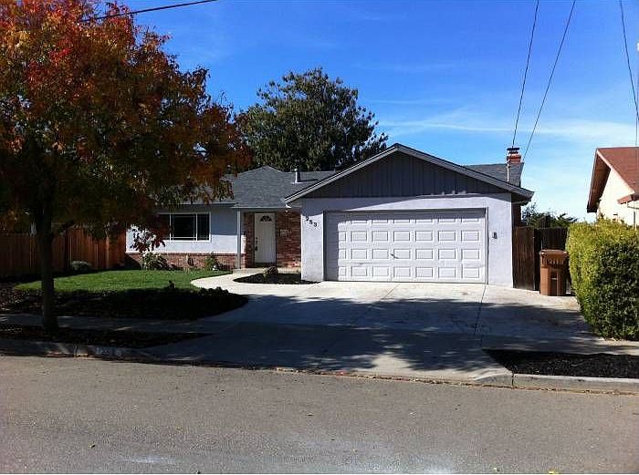 Welcome To Pippo Ave