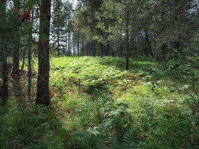 1 Vivian Acres, Sandpoint, ID, 83864