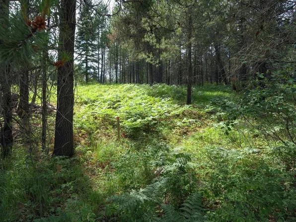 1 Vivian Acres, Sandpoint, ID 83864