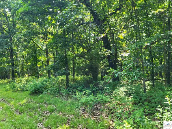 Rolfs Pl, Edwards, MO 65326