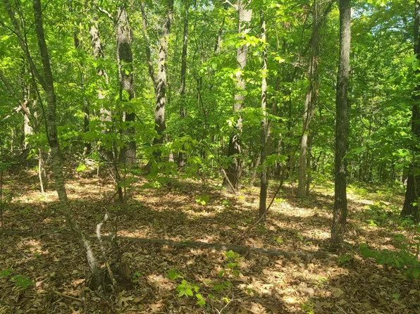 1369 Sugar Valley Circle, Pineville, MO 64856