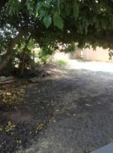 3 bed, 1800 sqft, $3,100 — Photo 2