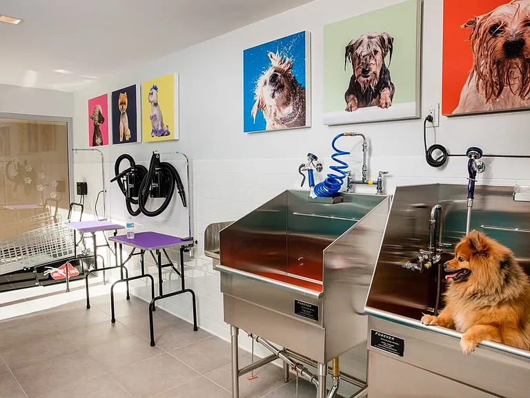 WAG pet spa