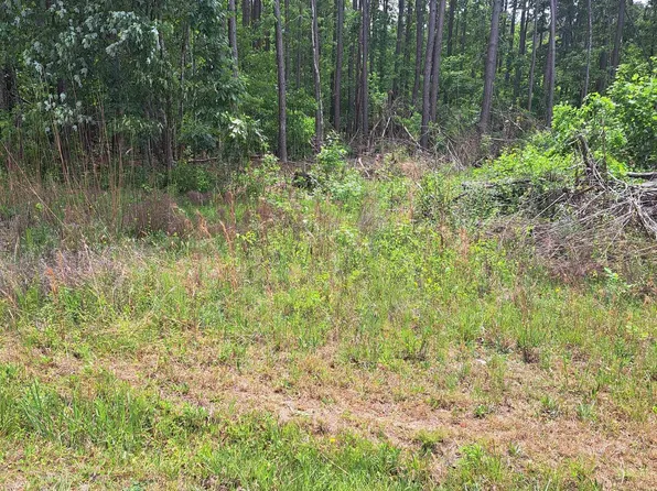 Grover Wilson Road Dinkins Place Rd, Ridgeway, SC 29130