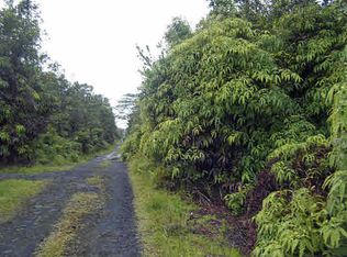 11 2010th #55, Volcano, HI 96785