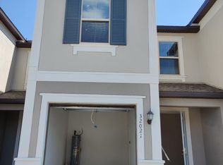 32021 Blue Passing Loop, Wesley Chapel, FL 33545