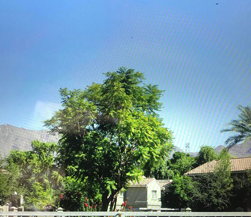 2nd image of 15252 N 100th St Unit 2165
