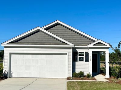 1150 Mulligan Dr, Manning, SC, 29102