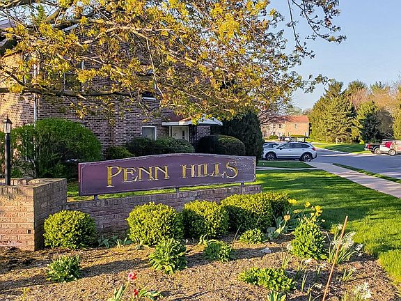 View from the garden