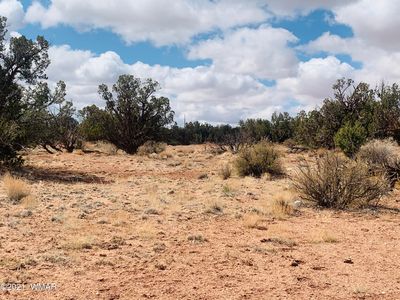 Pine Or Crazy Eight Ranch Rd, Snowflake, AZ, 85937