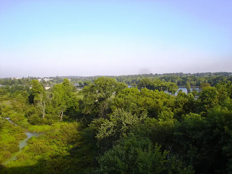 Gorgeous Views