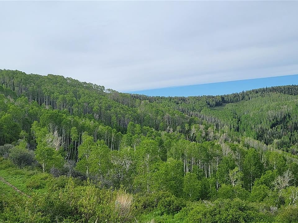 000 Silverado Road, Oak Creek, CO 80467 MLS 3130813 Zillow